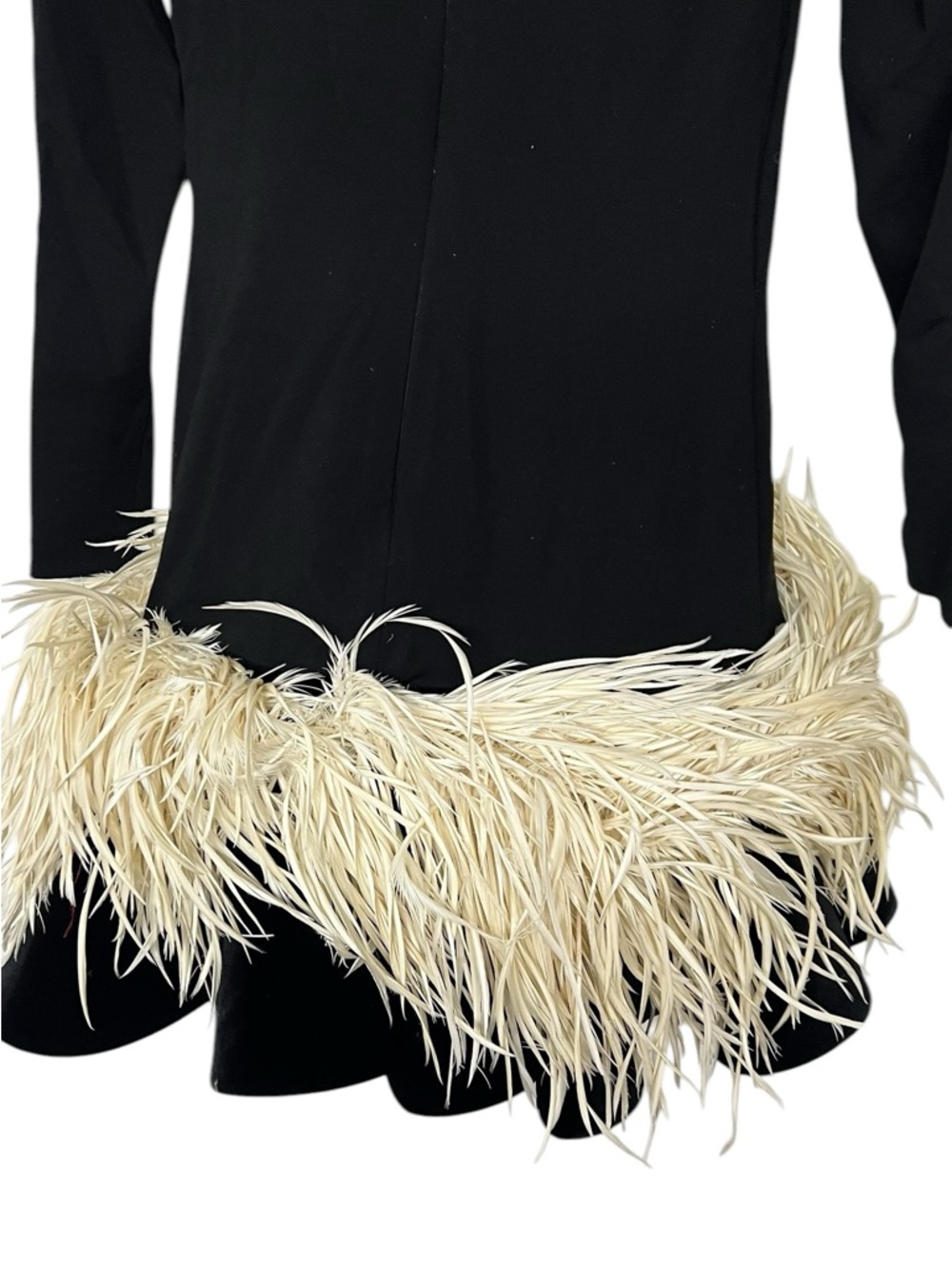 Christian Soriano Long Sleeve Dress With Velvet Ruffle Hem And Feathers Runway - Picture 7 of 12